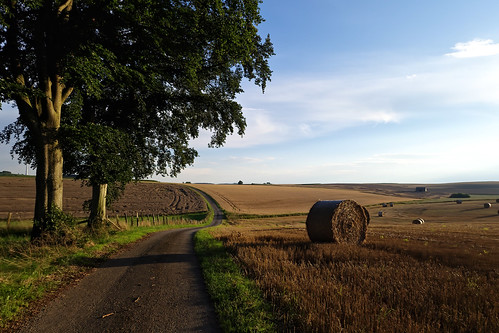 Countryside road near Oberwampach