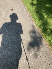 “My shadow walking on the waterfront trail following a large toad in Squires beach this autumn , Martins photographs , Pickering , Ontario , Canada , August 3. 2023”