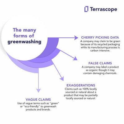 Breaking Down Greenwashing | Terrascope