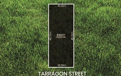 38 Tarragon Street, Mile End SA