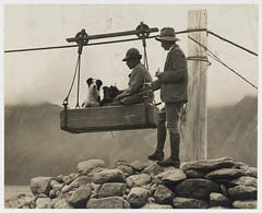 Dog ride, New Zealand, 1898-1904