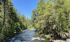 #DayTrip to #YosemiteNationalPark  #Friday #August18 #2023