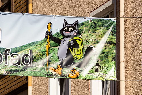 Black Cat, Zell, Mosel, Rhine Province, Germany