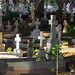Bel Ombre's cemetery, Mauritius