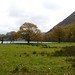Buttermere lake foot