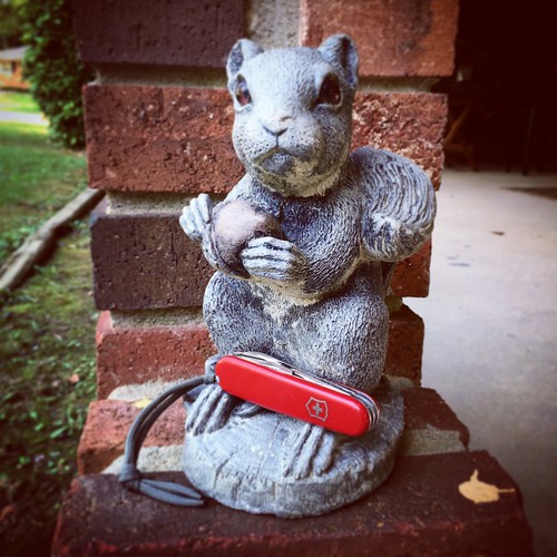Squirrel With a Victorinox Classic