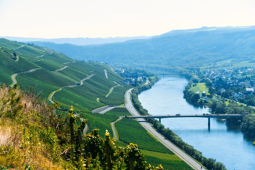 Moselle River at Erdener Treppchen vineyards