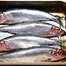 4 herrings