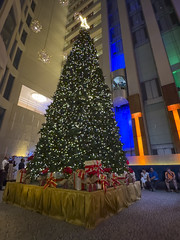 Christmas Tree in Hotel Lobby-3