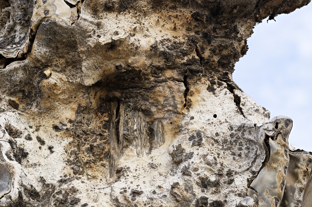 Part of a dead saguaro’s skeleton is visible behind dried white flesh with black specks on the Chuckwagon Trail in McDowell Sonoran Preserve in Scottsdale, Arizona on December 12, 2023. Originals: _ZFC8752.NEF to _ZFC8881.NEF