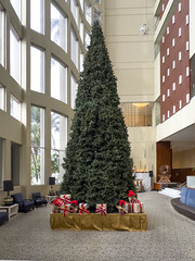 Christmas Tree in Hotel Lobby