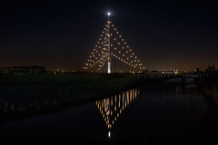 The largest Christmas tree in the world