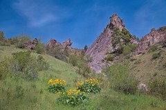 Wildflowers Canyon 6178 B (Explored)