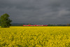 218 429, RE 3048, Salem Neufrach...