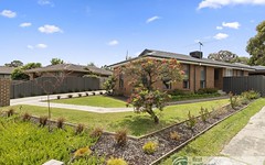 1/3 Puffin Court, Endeavour Hills VIC