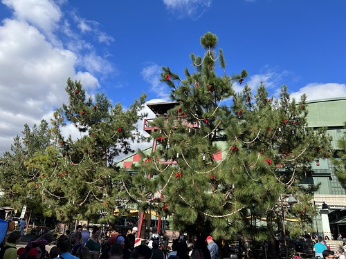Christmas Trees in Disney California Adventure • <a style="font-size:0.8em;" href="http://www.flickr.com/photos/28558260@N04/53411318828/" target="_blank">View on Flickr</a>