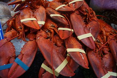 Fresh Cooked Lobster £45's per kilo, Furness Fish Market, Borough Market, Borough High Street, London Borough of Southwark, London, SE1 9AH