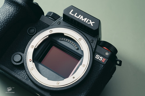 Panasonic Lumix S5 II Review | 26