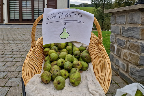 Free pears; how kind!