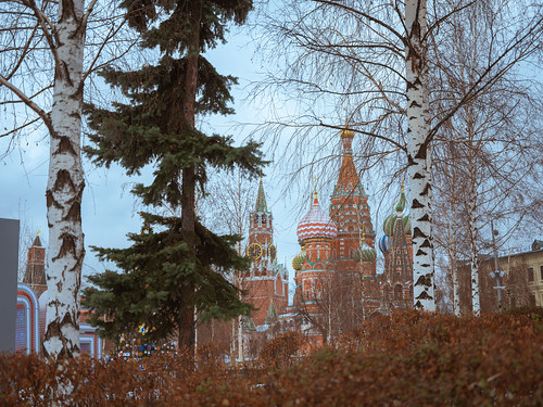 The Kremlin in the forest