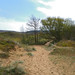 Sand dune path, Merthyr-Mawr 4