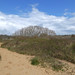 Sand dune path, Merthyr-Mawr 5