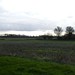 landscape between Braceborough and Shillingthorpe Park 1