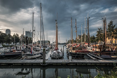 Veerhaven - Rotterdam (Netherlands)