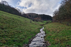 Stream near Bockholtz