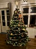 Christmas Tree 2023