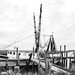 Shrimp Boats Beaufort South Carolina