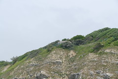 West From Lulworth Cove