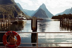 Milford Sound • <a style="font-size:0.8em;" href="http://www.flickr.com/photos/27717602@N03/53461662231/" target="_blank">View on Flickr</a>