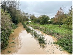 Flooded Dyke ..