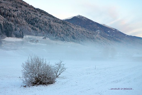 INVERNO. Immagine scattata in Val di Sole a Croviana, Trentino-Alto Adige/Sudtirol, ITALIA.