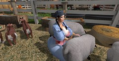 Farm Girl Life 2024