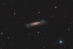 NGC3628 - Sarah's Galaxy