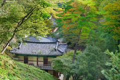 La vallée du temple Golgusa (Corée du sud)