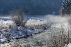 *frosty winter morning in the Ahr Valley*