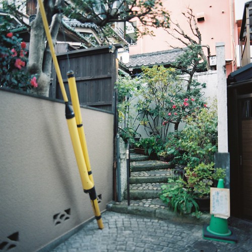 Zenza BRONICA S2+Nikkor-O 50mm f2.8+Kodak Portra400神楽坂三丁目かくれんぼ横丁の突き当たりの民家の花の玄関.