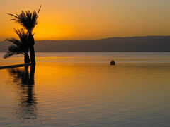 2024 (challenge No. 1- old unpublished pics) - Day 22 - Sunset, palm and chair, Aqaba, Jordan 2008
