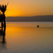 2024 (challenge No. 1- old unpublished pics) - Day 22 - Sunset, palm and chair, Aqaba, Jordan 2008