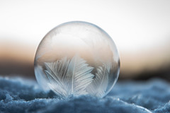 Frozen bubbles  (in explore)