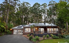 23 Maisey Road, Gembrook VIC