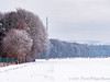 Snowy landscapes in Steinbach (Taunus)