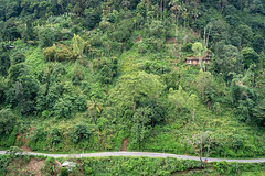 House in the hills