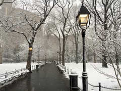 Winter storm (snow day) - Washington Square Park, New York City