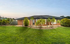 17 Kenmare Crescent, Invermay Park VIC