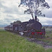 PB15 class locomotive No.503 between Bell and Dalby, Queensland, Easter 1967
