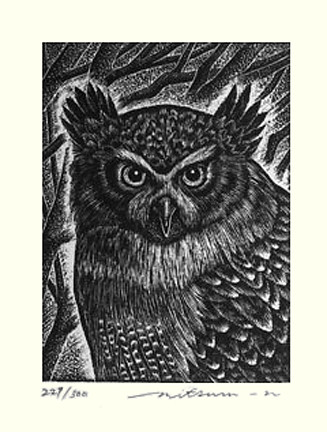 Blakiston's fish-owl